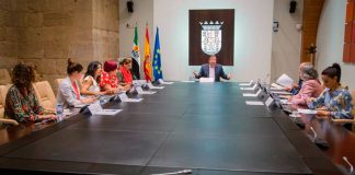 La Junta de Extremadura convocará subvenciones destinadas a proyectos de comercio electrónico y TIC